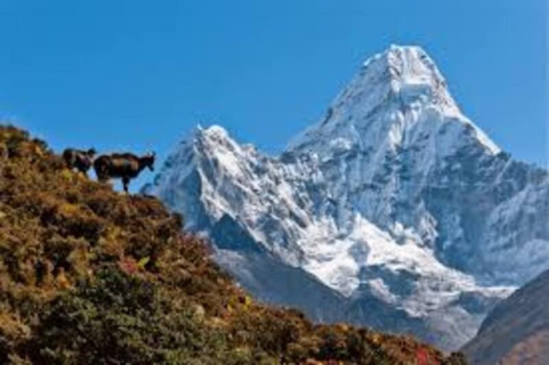 Nepal: Everest Three Passes Trek - Included and Excluded
