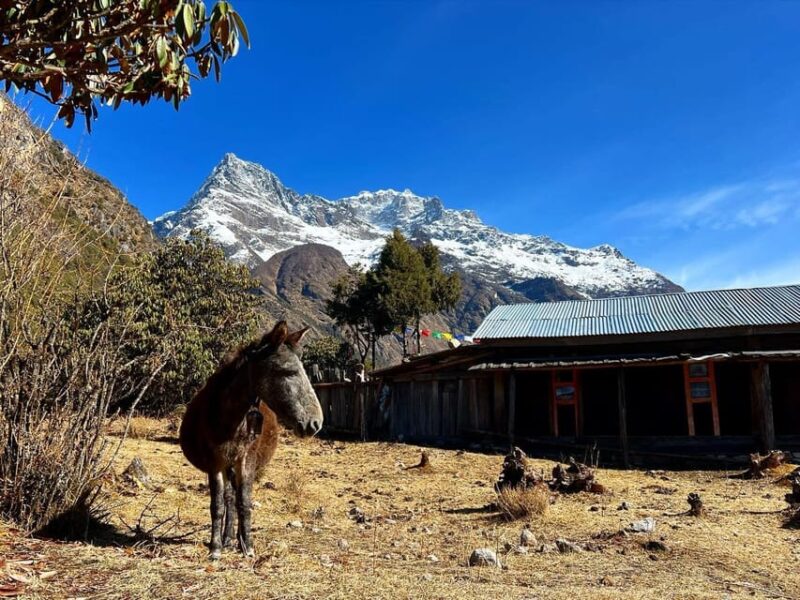 Nepal: Kanchenjunga South Base Camp Trek - 16 Days - Itinerary