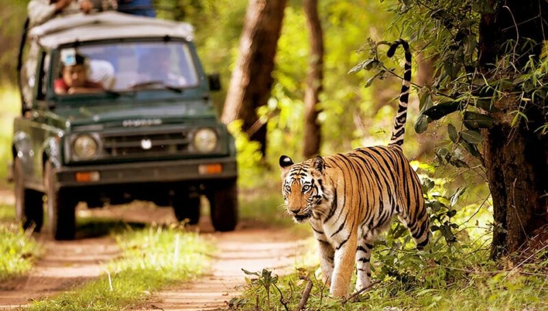 Nepal Panorama Tour – 10 Days - Inclusions