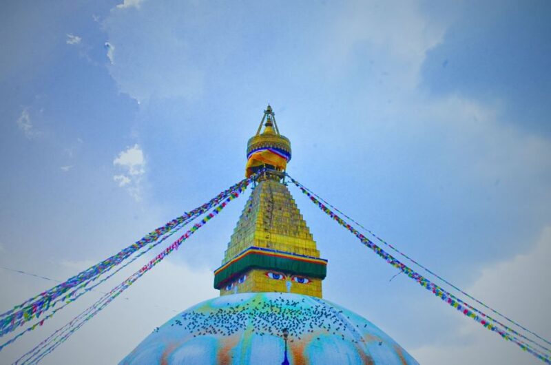 Nepal Tours Trekking & Safari - Key Points