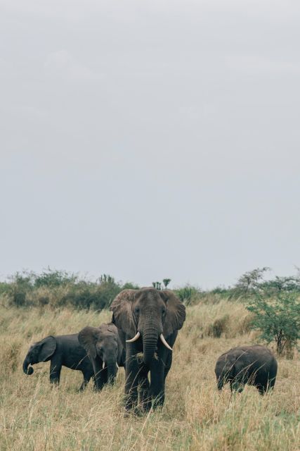 Nepal Trekking and Safari Tour - Cultural and Wildlife Experiences