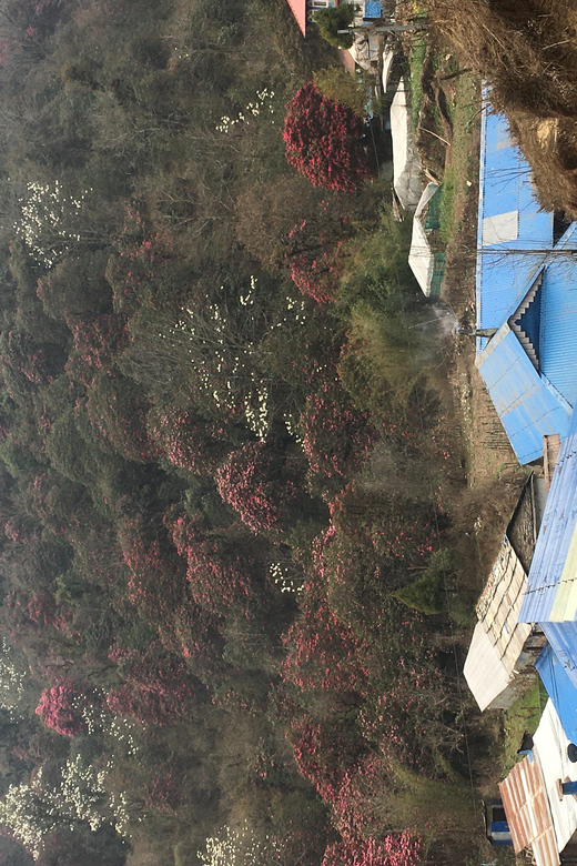 Nepal: Trekking Guide With 20+ Years of Experience - Customizable Trekking Experiences