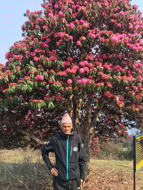 Nepal: Trekking Guide With 20+ Years of Experience - Safety and Risk Considerations