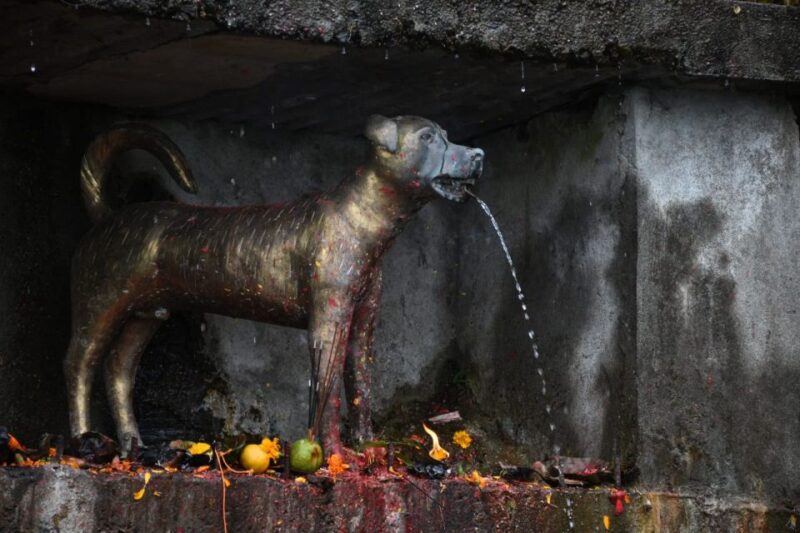 Nepal Villages Tour From Kathmandu With Trekking - Key Points