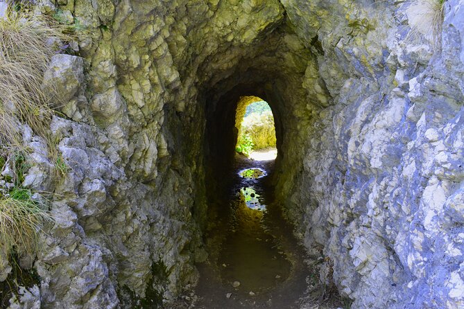 Nera Gorge National Park - Private Day Tour From Timisoara - Whats Included in the Tour