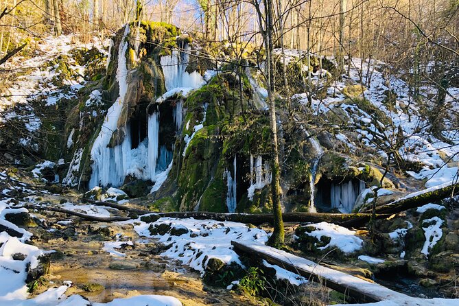Nera Gorge National Park - Private Day Tour From Timisoara - Suitability for Travelers