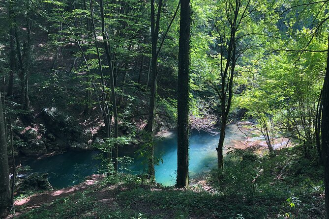 Nera Gorge National Park - Private Day Tour From Timisoara - Photography and Wildlife Opportunities
