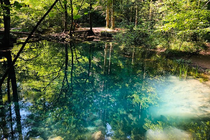 Nera Gorge National Park - Private Day Tour From Timisoara - Viator Help Centre and Support