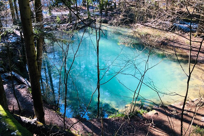 Nera Gorge National Park - Private Day Tour From Timisoara - Traveler Photos and Testimonials
