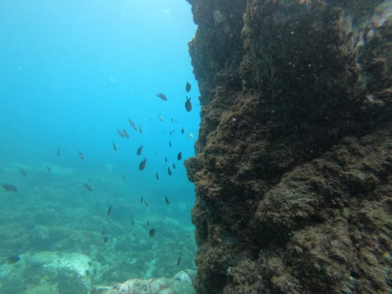 Nerja: Cliffs of Maro-Cerro Gordo Paddle-SUP Rental - Participant Information