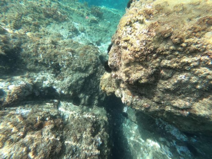 Nerja: Cliffs of Maro-Cerro Gordo Paddle-SUP Rental - Frequently Asked Questions