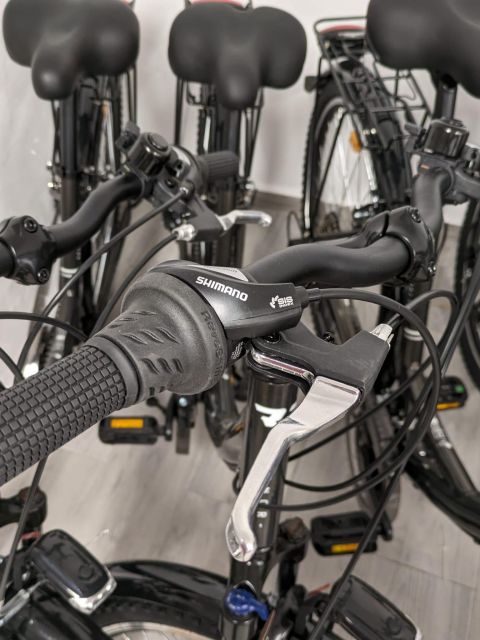 NERJA: Ebike Rental - Maintenance and Bike Condition