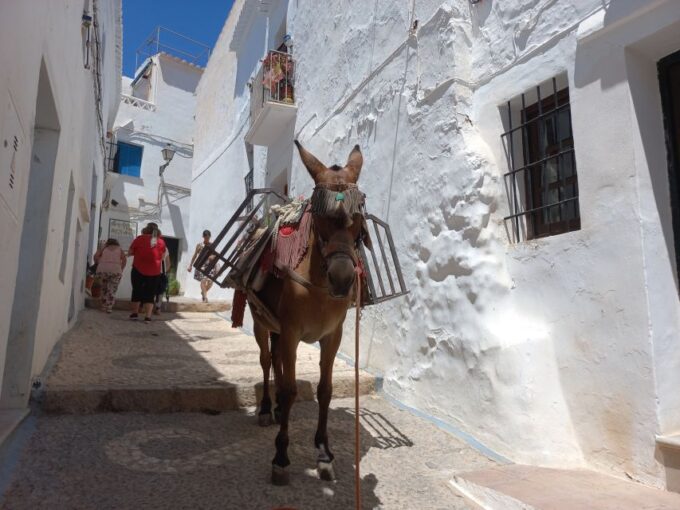 Nerja (Town), Frigiliana & El Acebuchal - Semi-Private - Break and Free Time