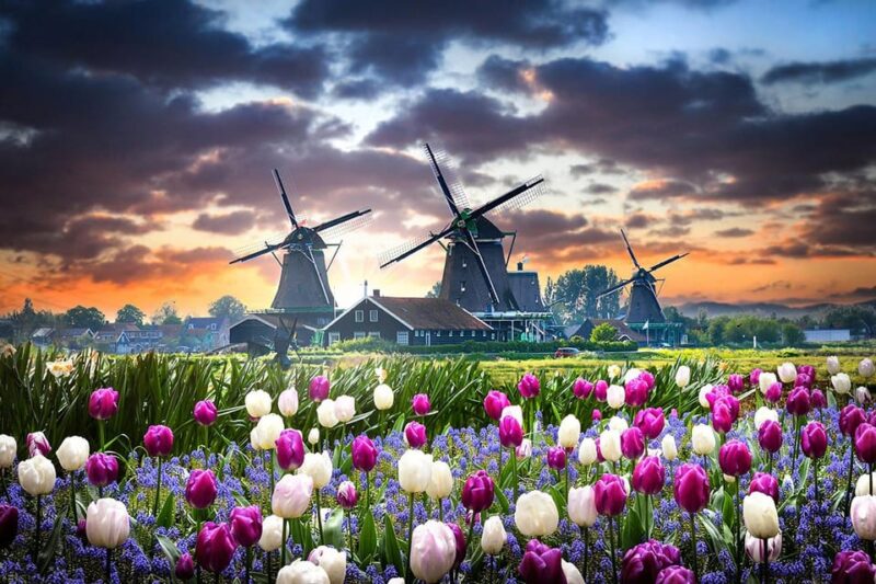 Netherlands, Private Tour, Tesla SUV, Windmills, Volendam. - Customer Feedback