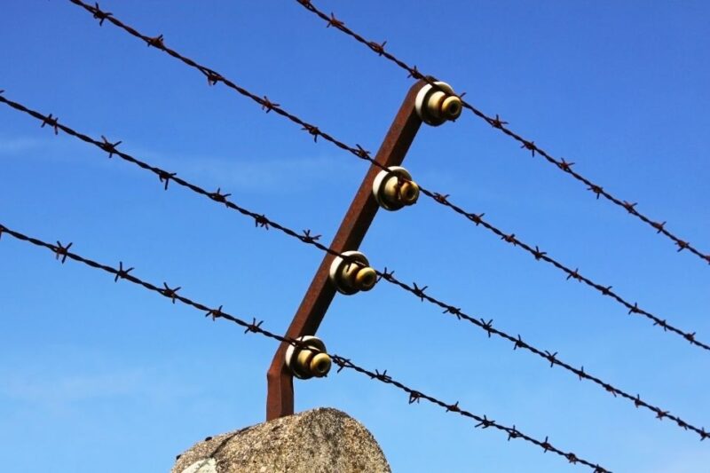 Neuengamme Concentration Camp Memorial: Guided Private Tour - Historical Context