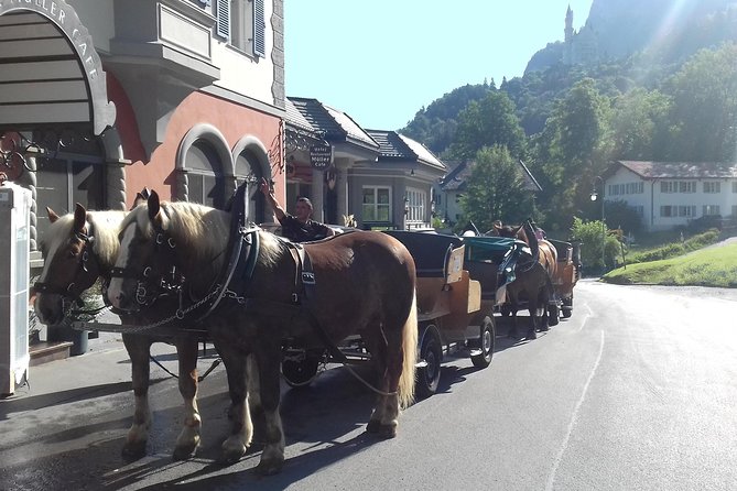 Neuschwanstein and Hohenschwangau Exclusive Skip-the-Crowds Tour - Accessibility