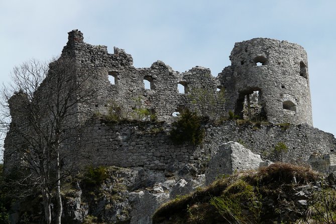 Neuschwanstein and Hohenschwangau Plus Oberammergau Private Tour - Tour Accessibility and Policies