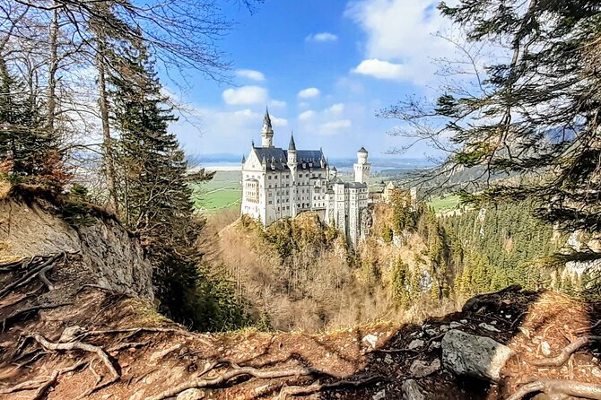 Neuschwanstein Castle and Highline 179 Private Tour  - Munich - Guest Feedback and Reviews