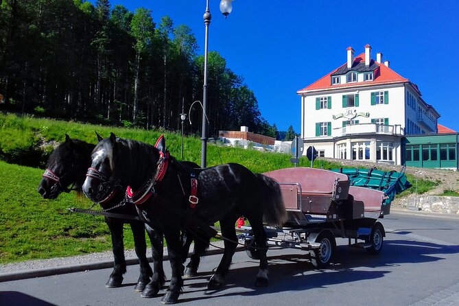 Neuschwanstein Castle and Highline 179 Private Tour  - Munich - Reservation and Payment
