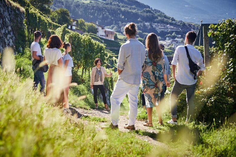 Neustift Monastery: Guided Vineyard Tour With Tasting - Overview of the Tour Experience