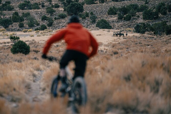Nevada Trails to Rails Beginner & Intermediate Bike and Hike Tour - Booking and Cancellation
