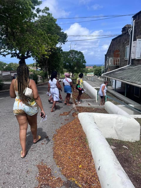 Nevis: Charlestown and Island Sightseeing Tour - Booking Information