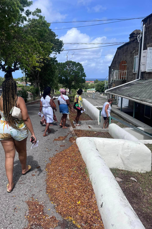 Nevis: Charlestown and Island Sightseeing Tour - Booking Information