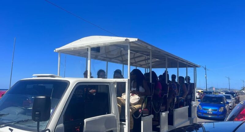 Nevis: Charlestown and Island Sightseeing Tour - Experience Highlights