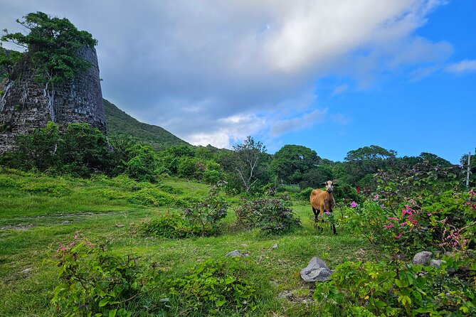 Nevis Island Road Trip - Indulging in Nevis Culinary Delights