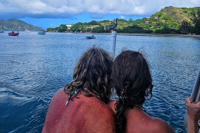 Nevis Island Road Trip - Discovering Nevis Enchanting Natural Wonders