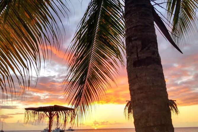 Nevis Island Road Trip - Customizing Your Nevis Island Adventure