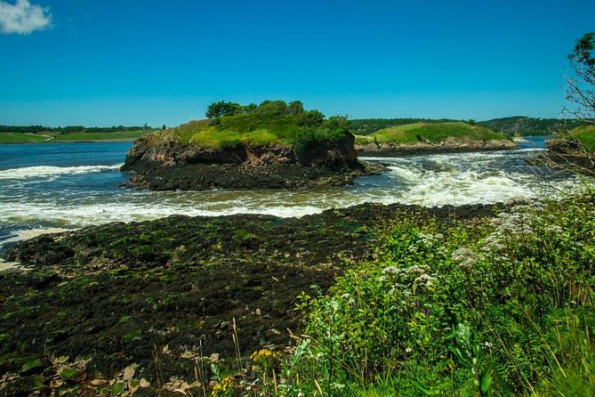 New Brunswick Shore Excursion: Bay of Fundy and More Highlights Tour - Tour Details