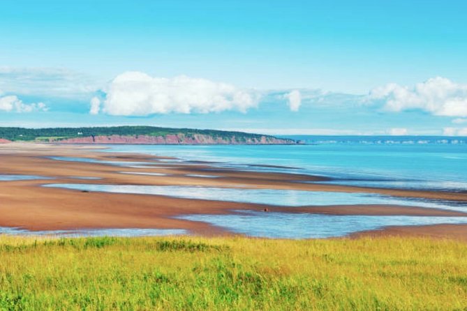New Brunswick Shore Excursion: Bay of Fundy and More Highlights Tour - Reservation and Cancellation