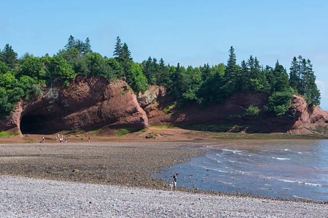New Brunswick Shore Excursion: Bay of Fundy and More Highlights Tour - Explore Reversing Falls