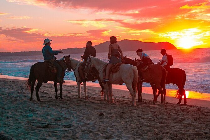 NEW!! Combo ATV & Horseback Ride. Beach & Desert. Tequila Tasting - Authentic Insights from Reviews