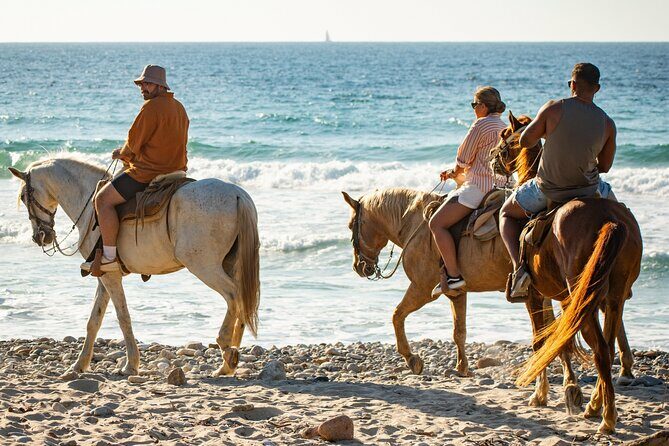 NEW!! Combo ATV & Horseback Ride. Beach & Desert. Tequila Tasting - The Sum Up: Is It Worth It?