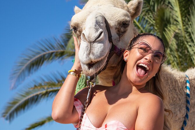 NEW! Combo Camel Beach Ride and UTV 4X4 Cabo Adventure, Tequila & - Camel Riding Safari and Highlights