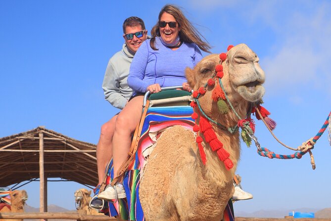 NEW! Combo Camel Beach Ride and UTV 4X4 Cabo Adventure, Tequila & - Health and Safety Considerations
