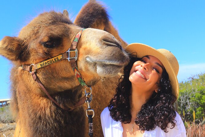 NEW! Combo Camel Beach Ride and UTV 4X4 Cabo Adventure, Tequila & - Customer Feedback and Ratings