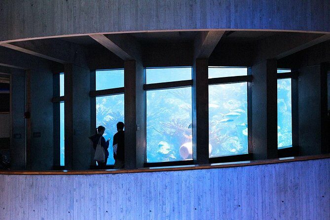 New England Aquarium Admission Ticket in Boston - Key Points