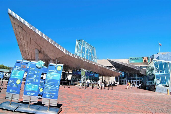 New England Aquarium Admission Ticket in Boston - An In-depth Look at the Experience