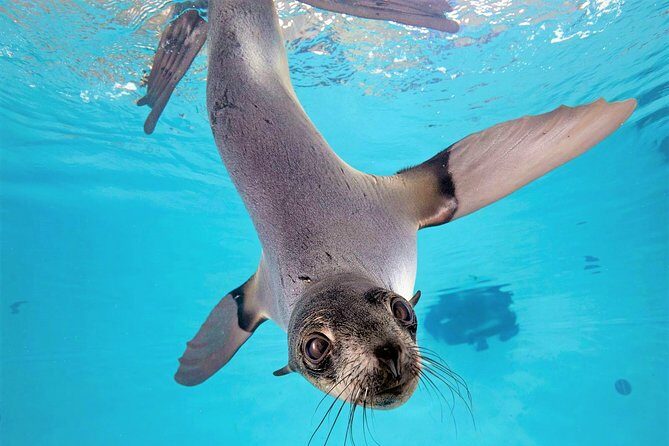 New England Aquarium Admission Ticket in Boston - The Sum Up
