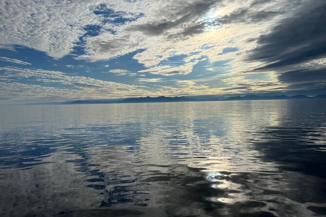 *New* Exclusive Premier Ketchikan Tour(Up to 6 Passengers) - Customer Reviews