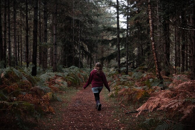 New Forest Tour App, Hidden Gems Game and Big Britain Quiz (7 Day Pass) UK - Exploring the New Forest