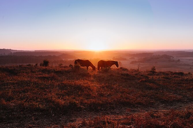 New Forest Tour App, Hidden Gems Game and Big Britain Quiz (7 Day Pass) UK - Hidden Gems Treasure Hunt