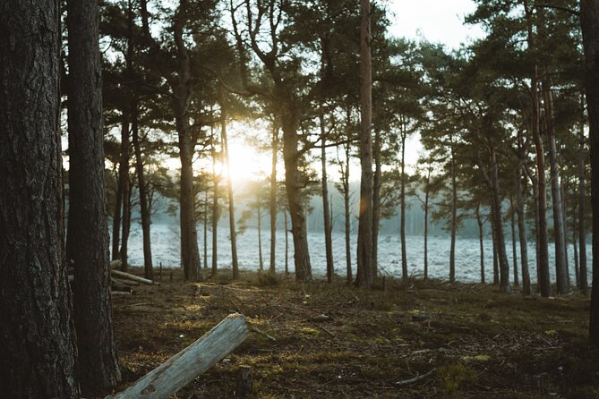 New Forest Tour App, Hidden Gems Game and Big Britain Quiz (7 Day Pass) UK - Meeting and Ending Points