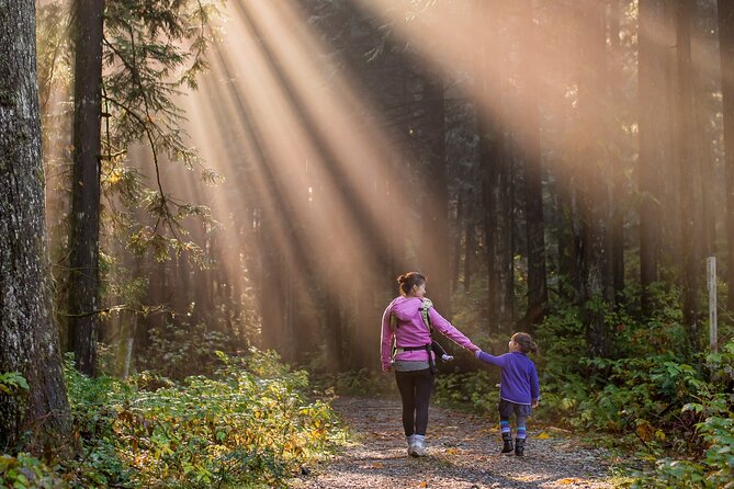 New Forest Tour App, Hidden Gems Game and Big Britain Quiz (7 Day Pass) UK - Customer Reviews and Feedback