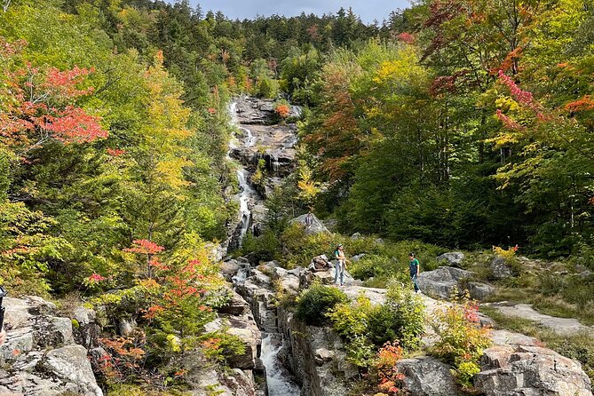 New Hampshire White Mountains Autumn Foliage Tour From Portland - Customer Reviews