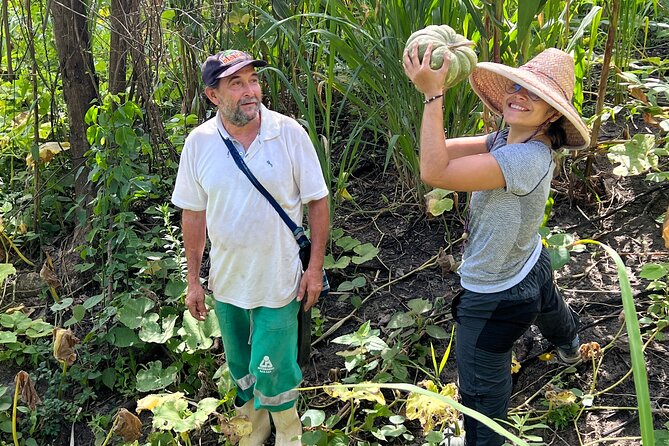 New Lost City Trek Bunkuany & Tayrona Park 2 Days 1 Night Hostel - Meeting and Pickup Details