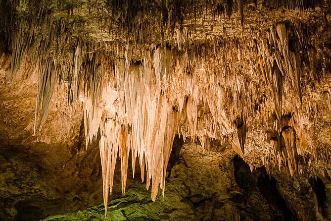 New Mexico Tours Bundle Self-Guided Drive and Walk - Key Points